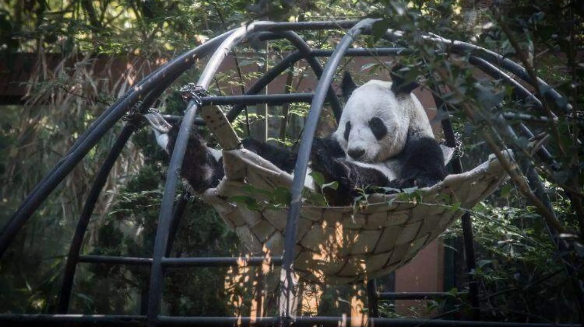 Zoológicos en la Ciudad de México